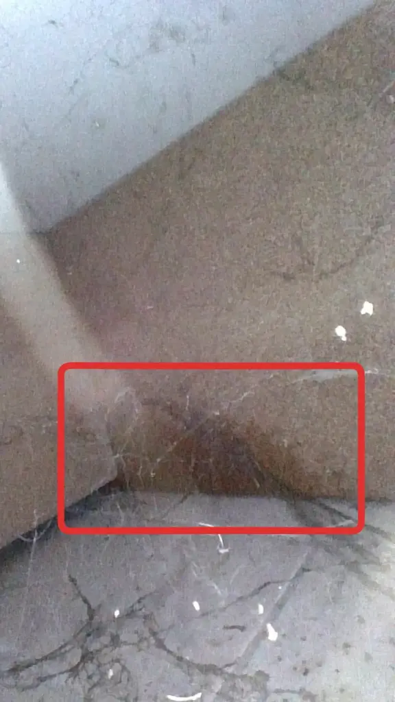 Infiltration plafond : inspection caméra sous le meuble de cuisine de l'étage supérieur, Strombeek-Bever